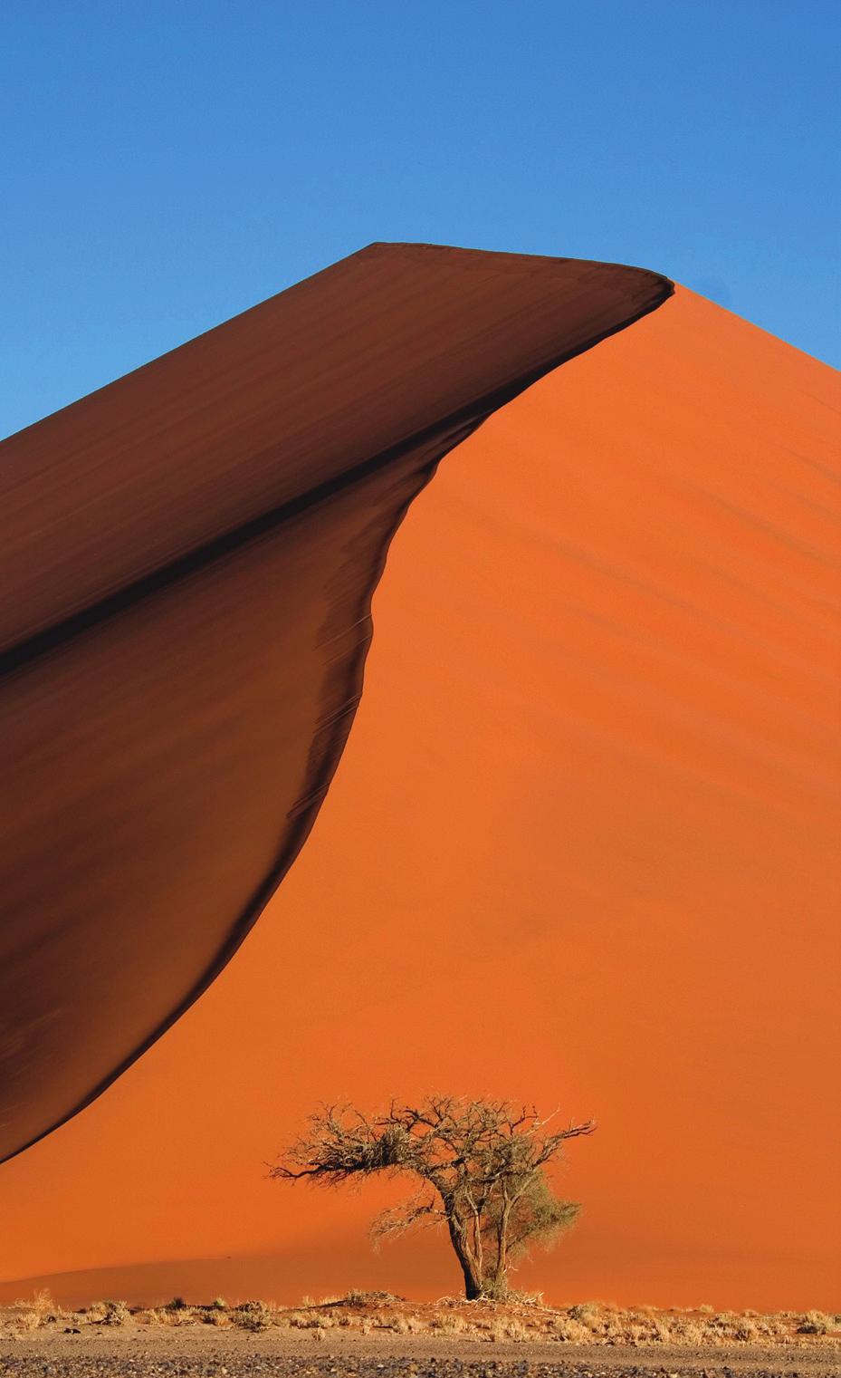 Tour membership limited to 24 UW alumni and friends Day 9: Windhoek/Namib Desert/Sossusvlei After a brief tour of Namibia s largest city, we set out through the central Namib Desert of vast gravel