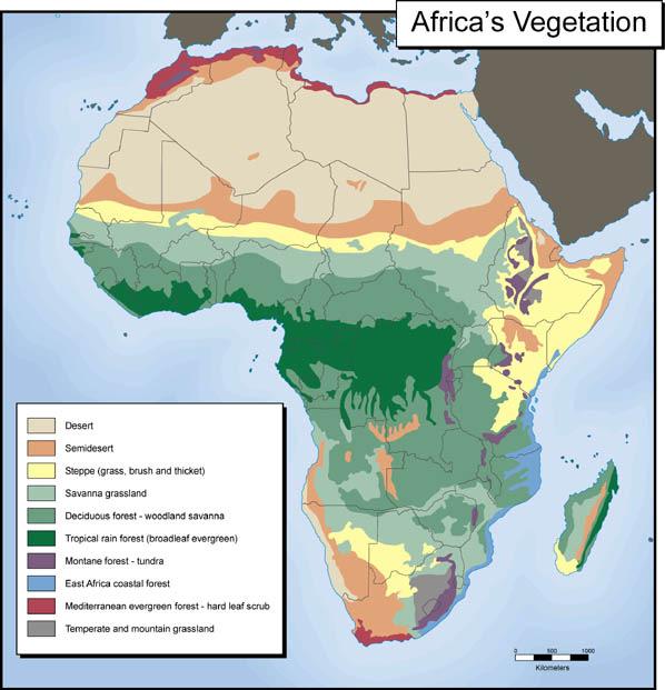 Vegetation africavegetation.