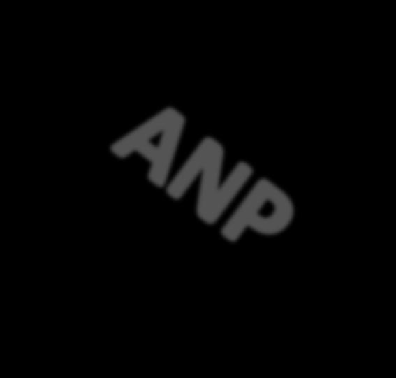 Summary of ANP GANP