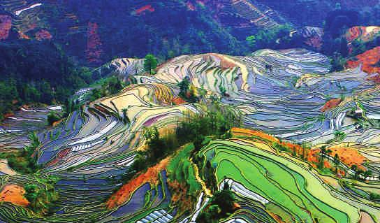 Tour code: WXCY COLOURFUL YUNNAN 6 Days local package to Kunming, Lijiang, Tiger Leaping Gorge and Dali.
