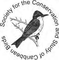 com BACKGROUND The Caribbean Endemic Bird Festival (CEBF) is the most successful outreach program of the Society for the Conservation and Study of Caribbean Birds today.