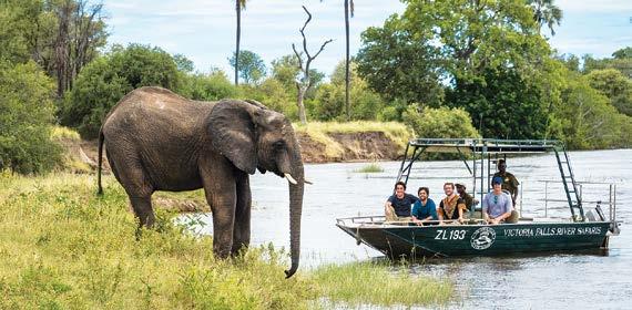 THE AFRICAN QUEEN CRUISE COMPANY VICTORIA FALLS I ZAMBIA THE ULTIMATE CRUISE EXPERIENCE Celebrate with spectacular views of the Zambezi River and the surrounding game