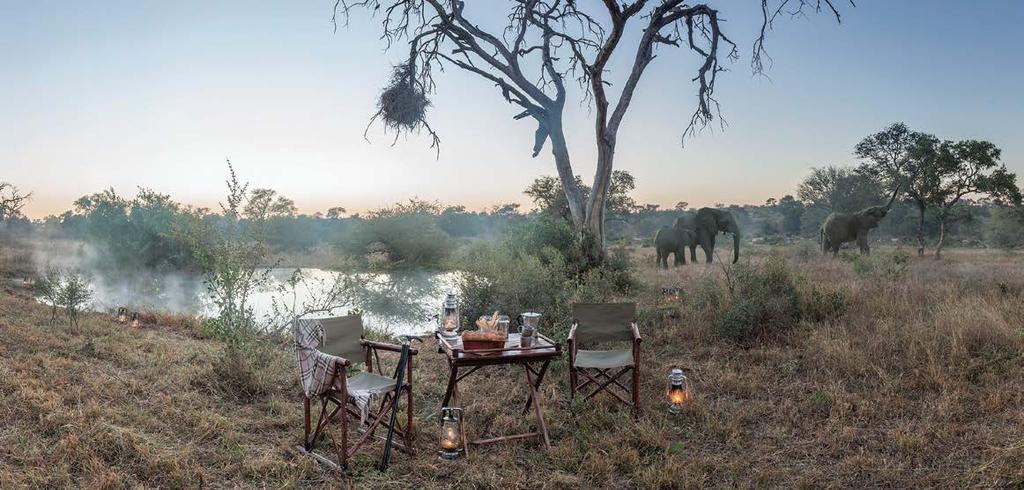 KINGS CAMP PRIVATE GAME RESERVE TIMBAVATI PRIVATE NATURE RESERVE I GREATER KRUGER