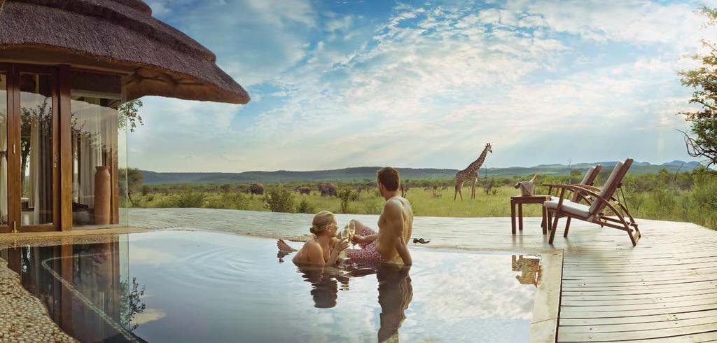 MADIKWE HILLS PRIVATE GAME LODGE MADIKWE GAME RESERVE I NORTH WEST PROVINCE The