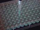 Sealing Films for 96-Well Microplates X-Pierce Precut Pierceable Sealing Films for Automation X-Pierce TM Sealing Films Also useful for protecting contents of plate from contamination during multiple