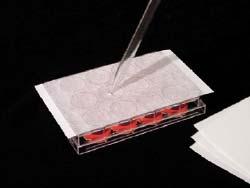 9mm for standard-size tissue culture plates Non-cytotoxic, highly gas permeable Easily pierceable with pipet tips or pipets for sample recovery Recommended for temperatures from -20 C to +80 C Qty