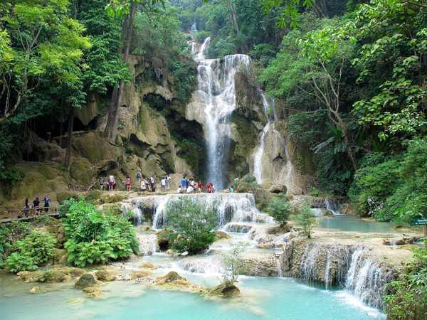 Before returning to Luang Prabang, we stop to visit the Kuang Si Falls Butterfly Park (closed on Tuesday), one of the must-visit spots, where you can have an optional 15 minute tour to