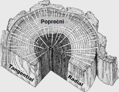 Građa debla[1] Usmjerenost strukture drva uzrokuje anizotropnost mehaničkih i drugih svojstva u smjeru godova (okomito na uzdužnu os drva) i