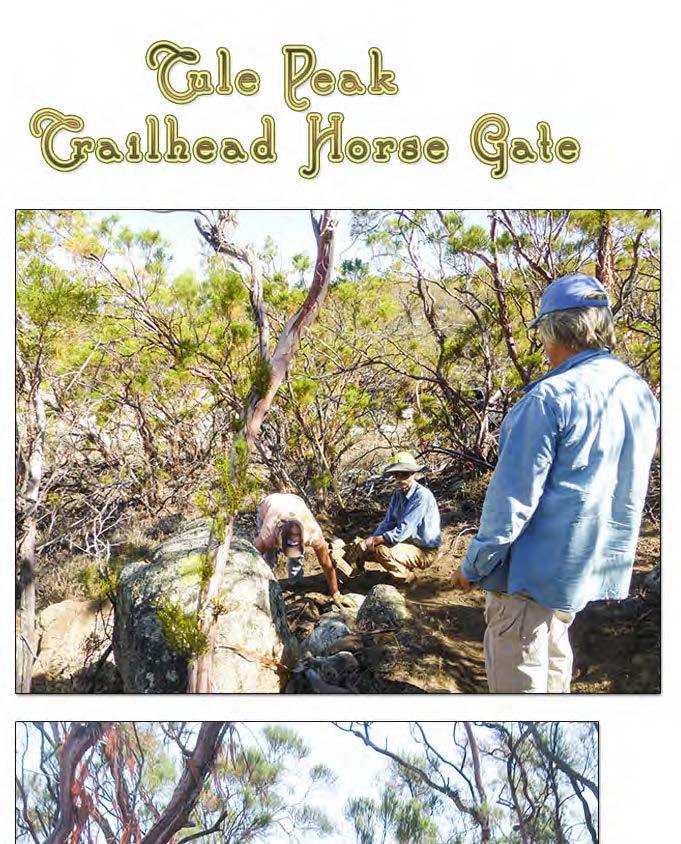 5 Horse Gate Installed at Tule Peak Trailhead in Beauty Mountain Wilderness Story & Photos Submitted by Allison Renck The heat didn t keep some hardy Redshank Riders Unit members from completing a