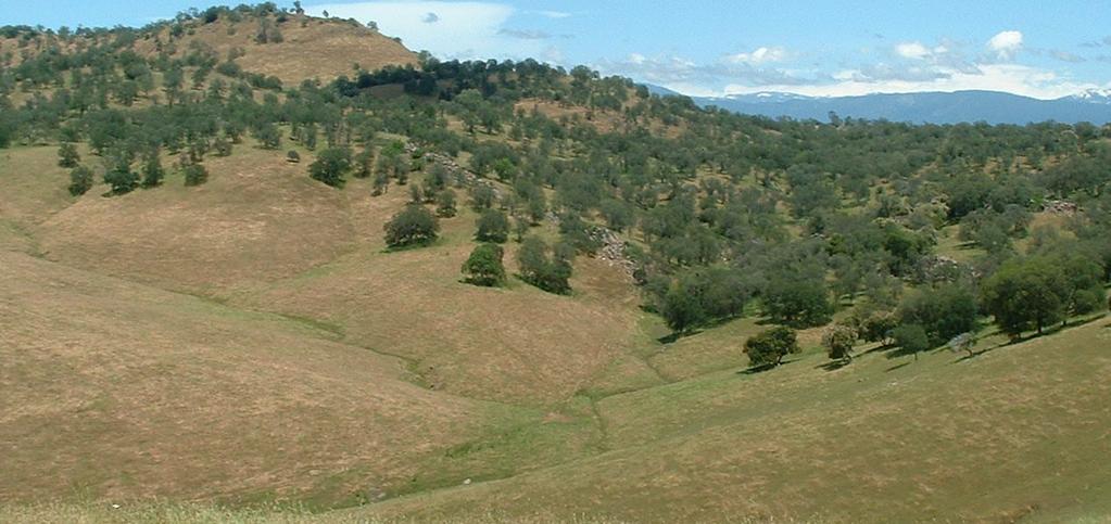 FOR SALE Wallner Ranch 857± Acres Mariposa County, California Exclusively Presented By: Pearson