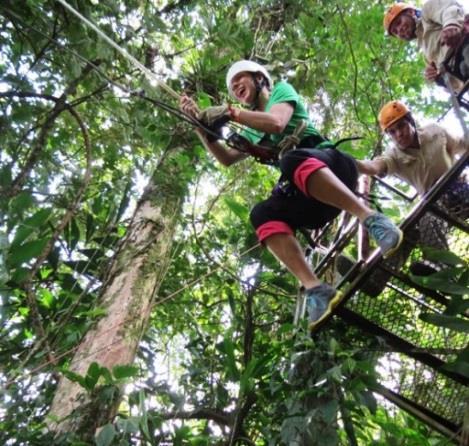 The zip-line experience not only offers you a great adventure but also an opportunity to observe all the animal life in its natural habitat.