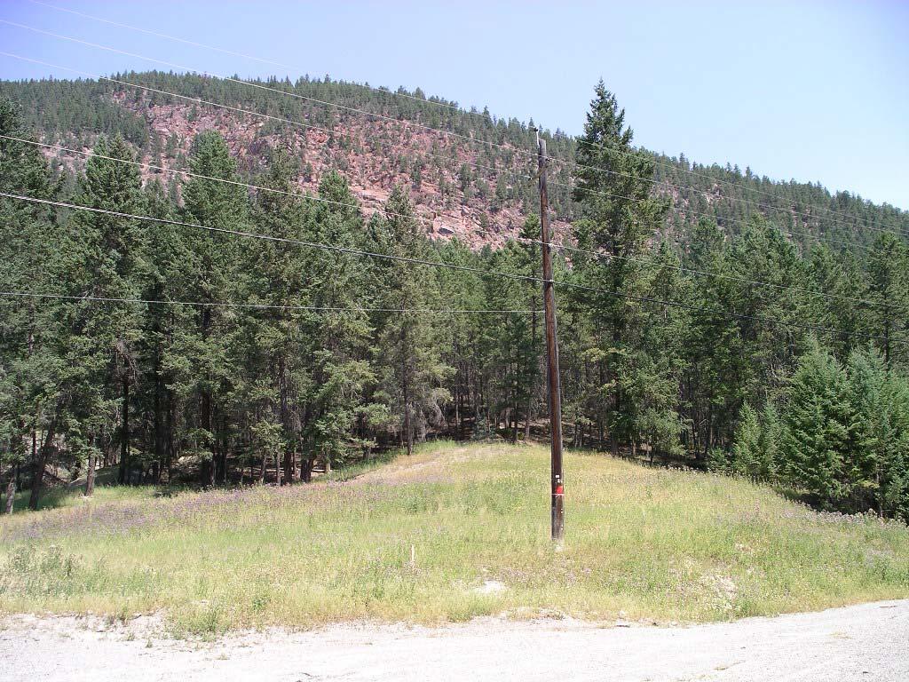 Figure 5. Open area near Radium Hot Springs Lodge.