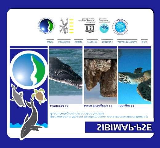 SIBIMAP Contains Four modules cetaceans, sea turtles, MCPA and sharks (in progress) Georeferenced