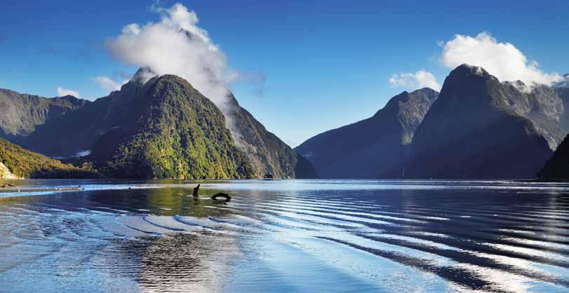 $50 CASH BACK* PER ROOM ON CRUISES 6 NIGHTS OR LESS Kiwi Adventure Calling all nature-lovers! Pristine New Zealand is one of the most naturally beautiful places in the world.