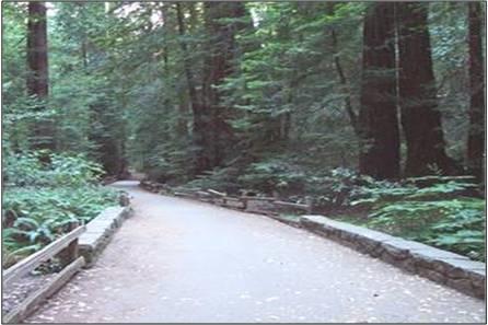 Outdoor Developed Areas Architectural Barriers Act Accessibility (ABA) Standards for Trails, Camping and Picnic