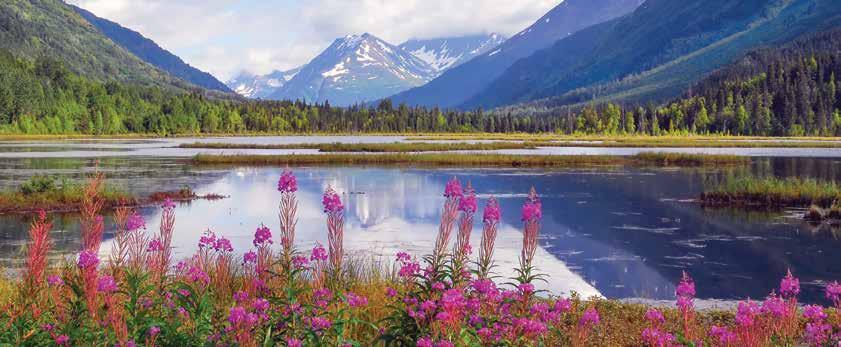 Explore Alaska with us in 09 Towering mountains, dramatic glaciers, abundant wildlife and so much more. Imagine the possibilities.