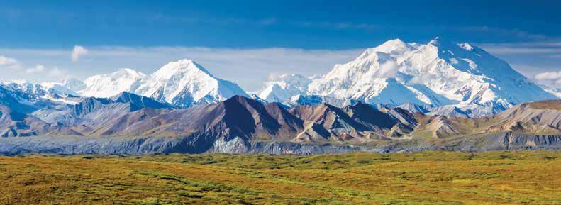 Explorer Tours Denali Backcountry Explorer Tour BP s & Nights Immerse yourself in the heart and soul of on this special tour which takes you deep into Alaska s backcountry.