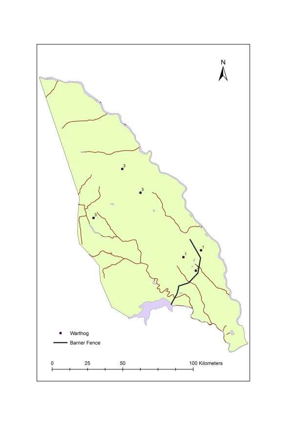 Figure 31: Warthog Parque Nacional do