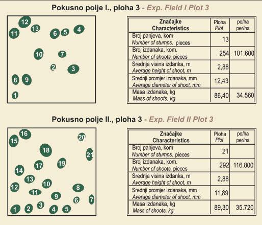 KRPAN, A. P. B. et al.: ISTRAŽIVANJA BIOPRODUKCIJSKIH I ENERGETSKIH POTENCIJALA AMORFE (Amorpha fruticosa L.) 47 Slika 4. Podaci izmjere na plohama 3 u pokusnim poljima I. II.