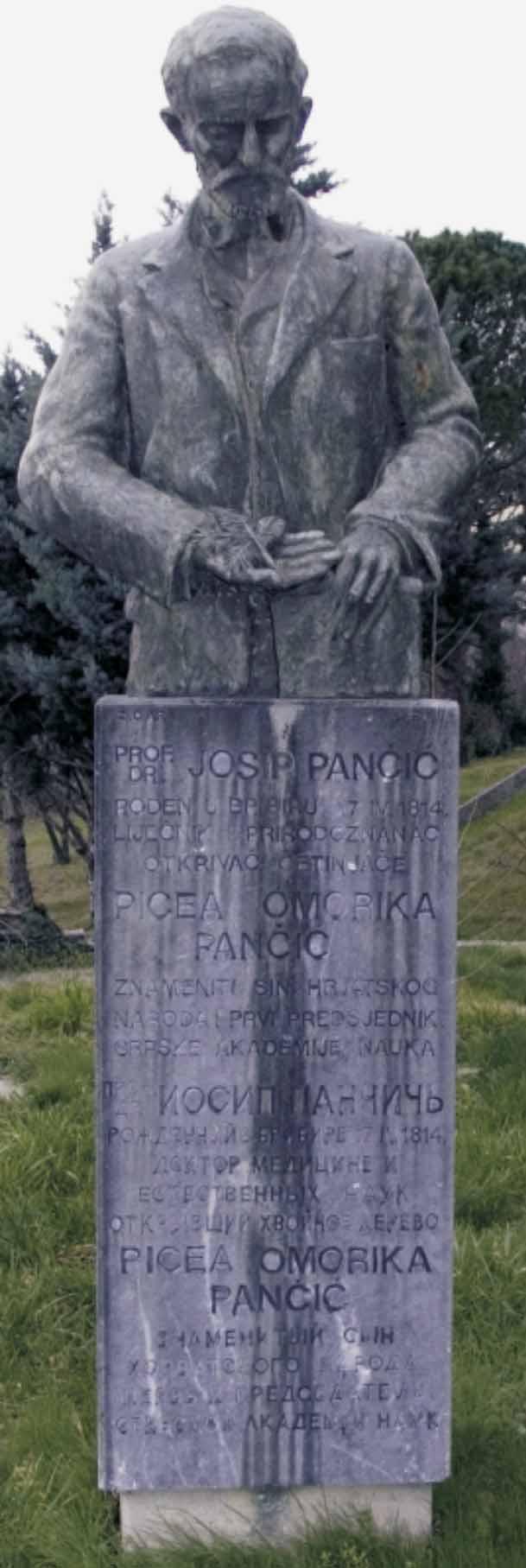 68 ŠUMARSKI LIST, 1 2, CXXXVIII (2014) Slika 1. Spomenik prof. dr. Josipu Pančiću u Crikvenici na kojemu piše: "Rođen u Bribiru 17. IV. 1814.