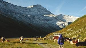 includes 16 iconic European walking destinations across France, Spain, Italy, Cyprus and much more. Sherpa Expeditions has now joined forces with UTracks <http://www.utracks.