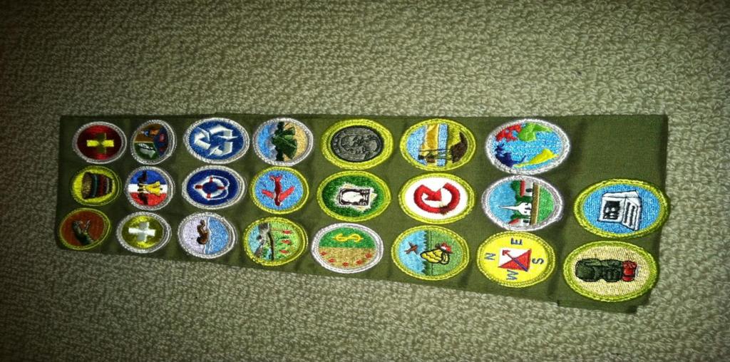 New Merit Badges for 2018 Animation Chess Citizenship in the World Collections Exploration Farm Mechanics Game Design Golf (additional cost) Graphic Arts Home Repairs