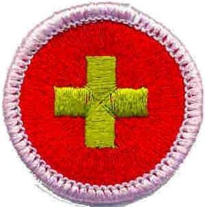 BSA Lifeguard is awarded to those scouts and scouters possessing the skills and knowledge of the Swimming, Lifesaving, Rowing, and First Aid Merit Badges who complete this weeklong training in