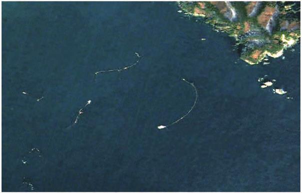 the assessment of damage to aquaculture rafts, Daichi images of Yamada Bay in Iwate and coastal areas of Kesennuma City in Miyagi were provided to the Fisheries Agency s Fish