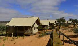 The camp comprises of six classic safari tents, one family unit and one luxury desert suite/honeymoon suite all built on raised