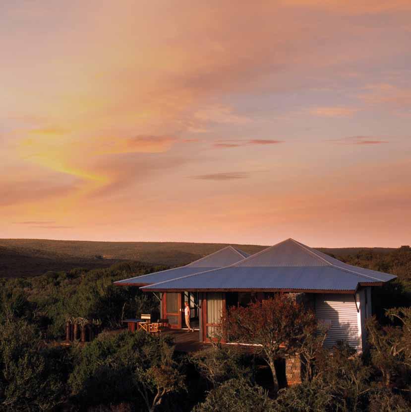 ECCA LODGE One step away from nature Blessed with breathtaking views over an acacia, aloe and spekboom-studded valley, the fun and family-friendly Ecca Lodge