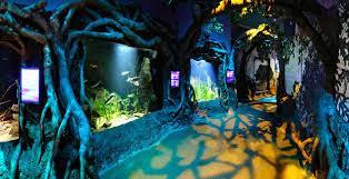 Get down nearest to King Street Wharf, Darling Harbour Proceed to Sea Life Aquarium at Darling