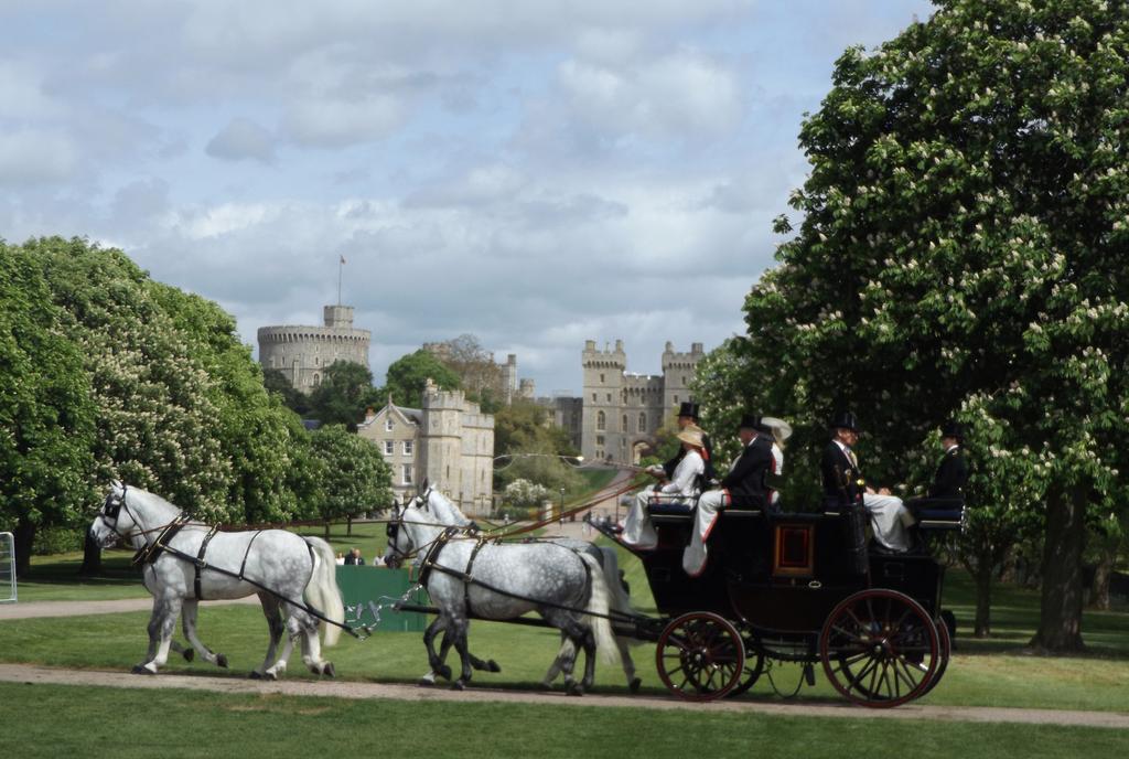 J oin U s on the Carriage Association of America s trip to the 2019 Royal Windsor Horse Show Considered by many to be the premier horse show in the world, the Royal Windsor Horse Show is held in the