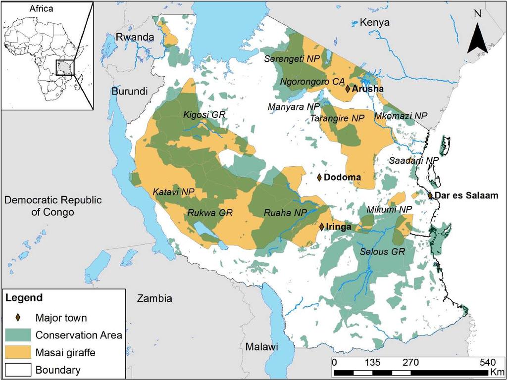 Distribution of Masai giraffe populations in the major protected conservation areas of