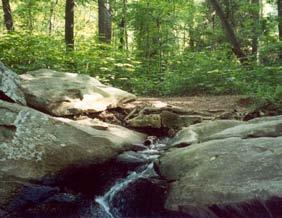 With access to 15 miles of hiking and walking trails leading you through
