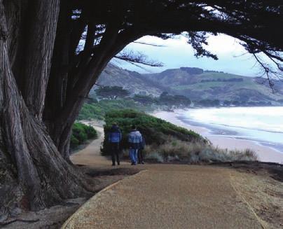 Take a spectacular drive down the great ocean road, visiting the towns along the way.