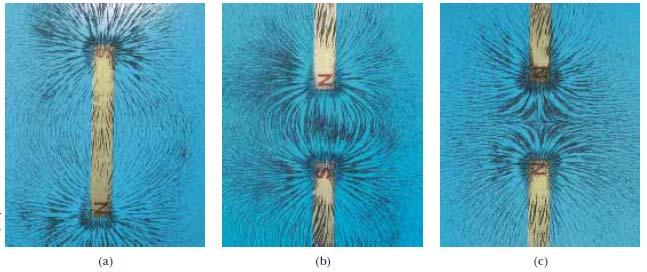 Slika 2. (a) Primjer prikaza magnetskog polja koje okružuje magnet, pomoću željezne strugotine. (b) Primjer magnetskog polja između suprotnih polova (N-S) dvaju magneta.