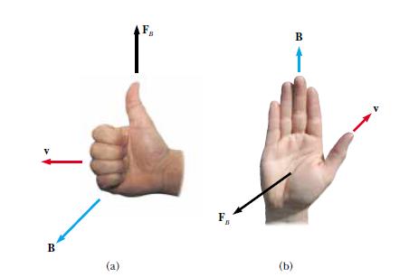 (b) Po ovom pravilu, vektor brzine je u smjeru palca, B je u smjeru prstiju. Sila F B koja djeluje na pozitivan naboj je u smjeru iz dlana, kao kada bismo gurali česticu rukom [1]. Slika 4.