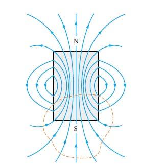 Slika 12. Silnice magnetskog polja magneta formiraju zatvorene krivulje.