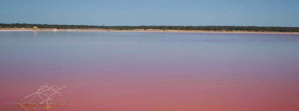 Free Camping Spots in Australia Lake Crosbie, Victoria. Lake Crosbie is one of the pink lakes, located in the Murray region in the Murray-Sunset National Park.