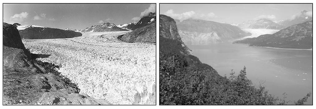 On the left is a photograph of Muir Glacier taken on August 13, 1941, by glaciologist William O. Field; on the right, a photograph taken from the same vantage on August 31, 2004, by geologist Bruce F.