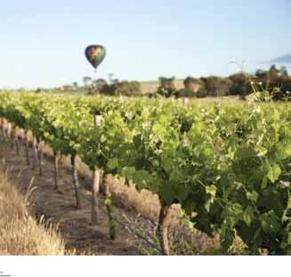 South Australia Barossa Valley & Central Markets 4 Days/3 Nights $385 Arrival transfer Adelaide Airport to Adelaide City Centre Hotels 3 nights at the Mercure Grosvenor Hotel Adelaide Economy room