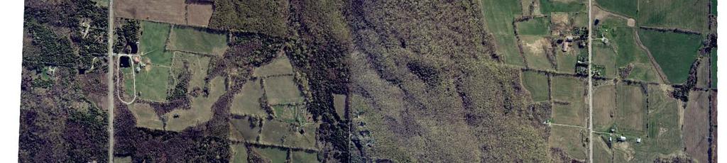 Where site access was not permitted, lands were characterized by agency data, air photo interpretation,