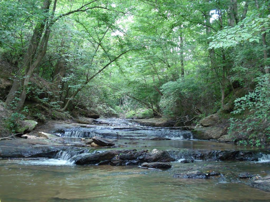 Cool Creek Enters Hatchet This beautiful little creek had