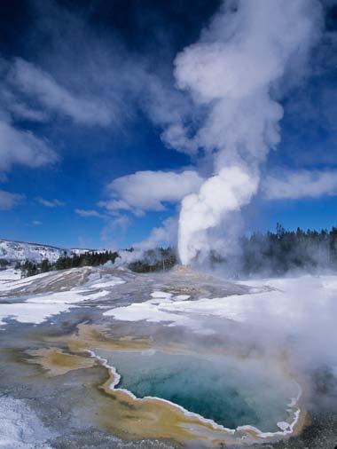 Dec 29 30 ~ Meet Tom and explore northern Yellowstone Note: Specific destinations within the park are subject to change depending on weather conditions and wildlife.