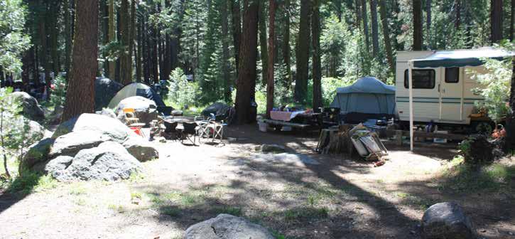 Existing Physical Conditions Pinecrest Campground Surrounding Context Pinecrest Campground is located.75 miles from the junction of Highway 108 and Pinecrest Lake Road.