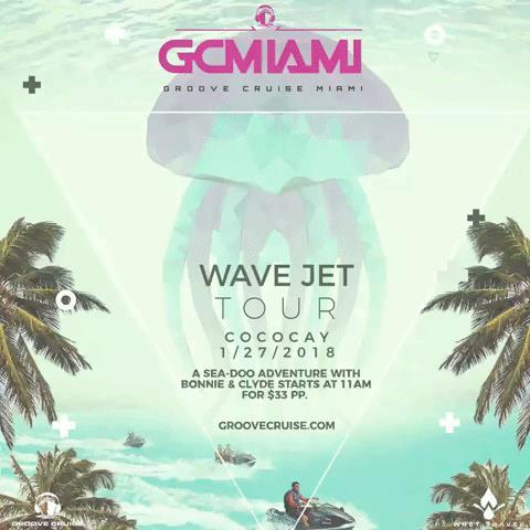 Wave Jet Tour Twister at