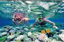 SVNHA06NM Snorkelling in Mun Island without meal Duration: approx. 7 hours (include travelling time) PARTICIPATNS REQUIRED: MIN. 20PAX & MAX.
