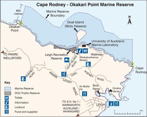 Figure 1: The Cape Rodney-Okakari Point Marine Reserve is a 5.47 km 2 protected area in the North Island of New Zealand.