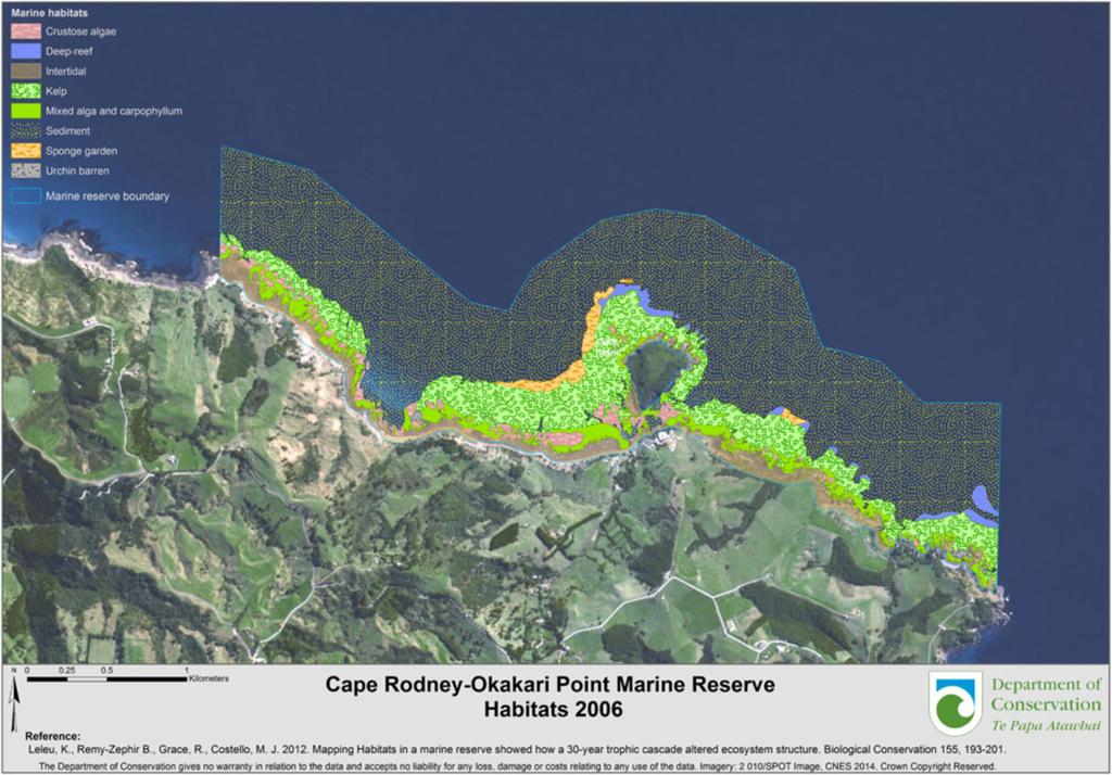 Figure 2: The habitats found in Cape Rodney-Okakari Point Marine Reserve, predominantly intertidal, crustose algae, kelp forest, sponge