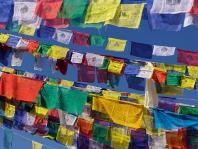 kits. We will take part in a tour of the centre and hear first had from staff the role that s for Girls has in Nepalese society plus take part in building our own s for Girls kits.